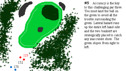 Hole 8